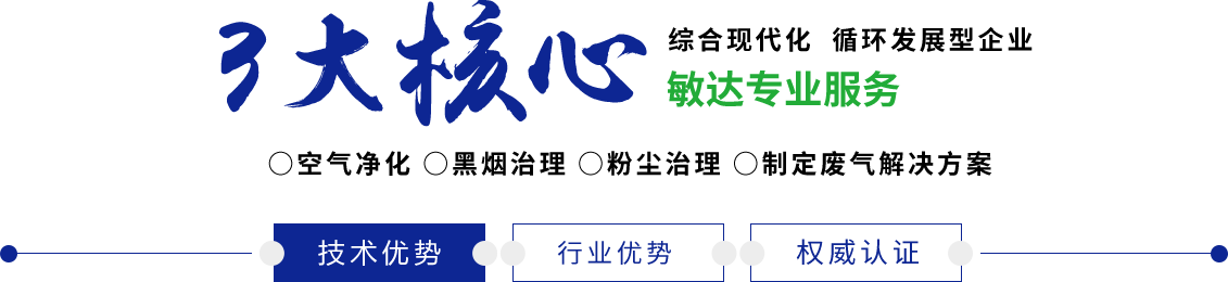 大鸡巴操大骚逼免费黄色视频网站敏达环保科技（嘉兴）有限公司